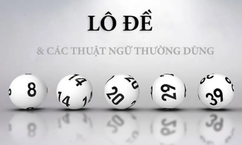 Tổng hợp những thuật ngữ lô đề về cách chơi phổ biến